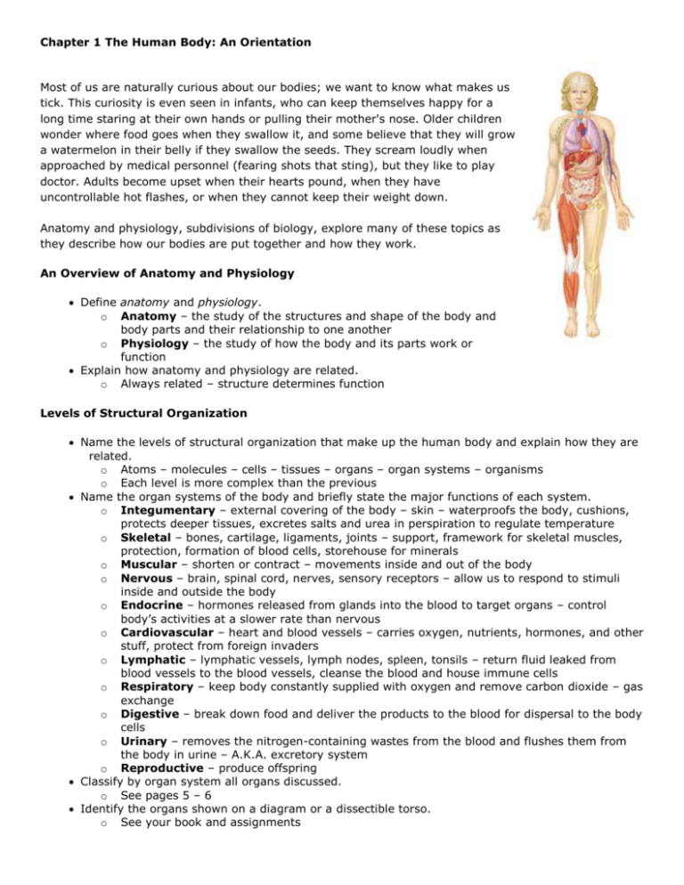 Chapter 1 Introduction To Human Anatomy And Physiology Worksheet