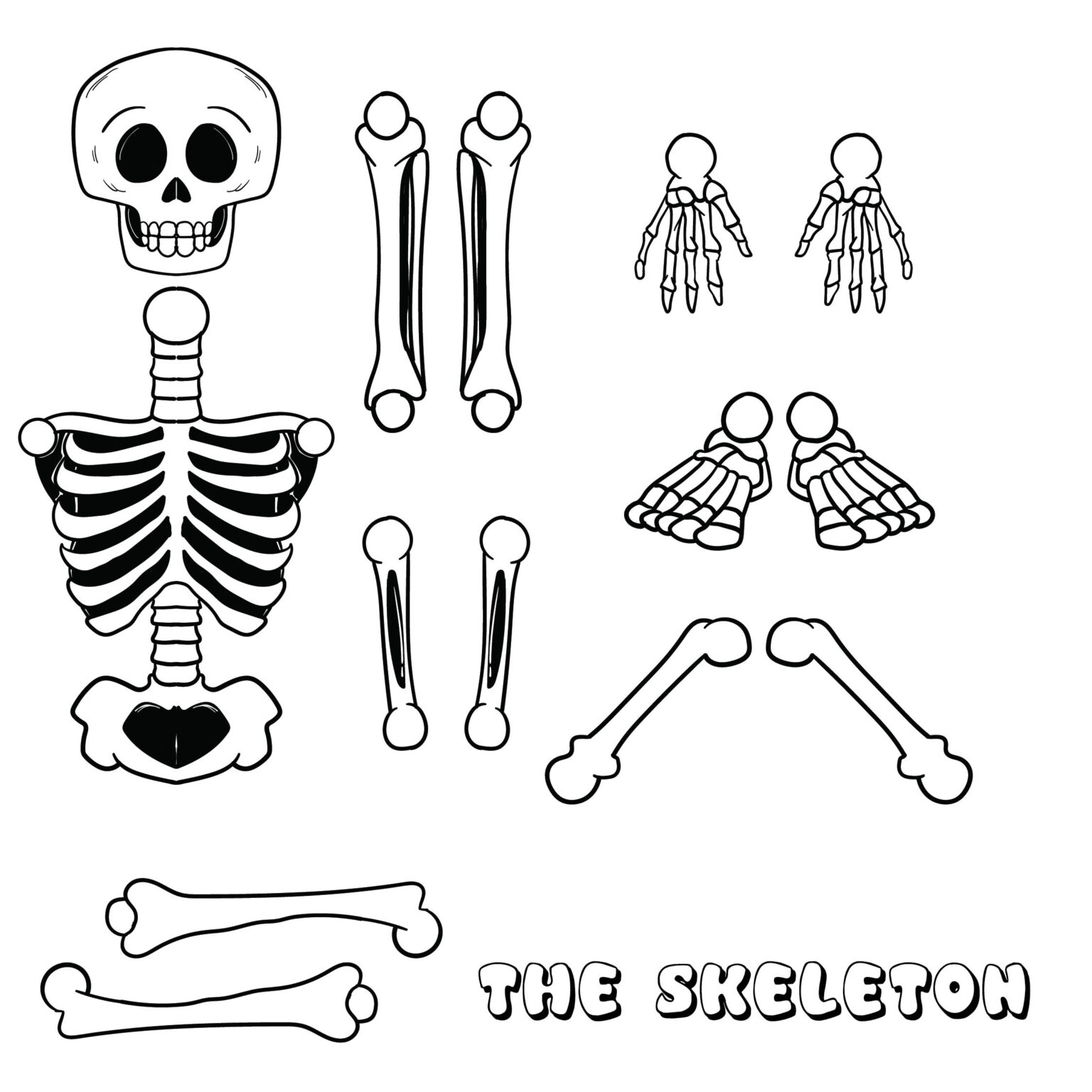 10 Best Large Printable Skeleton Template Printablee Anatomy Worksheets