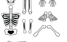 10 Best Large Printable Skeleton Template Printablee