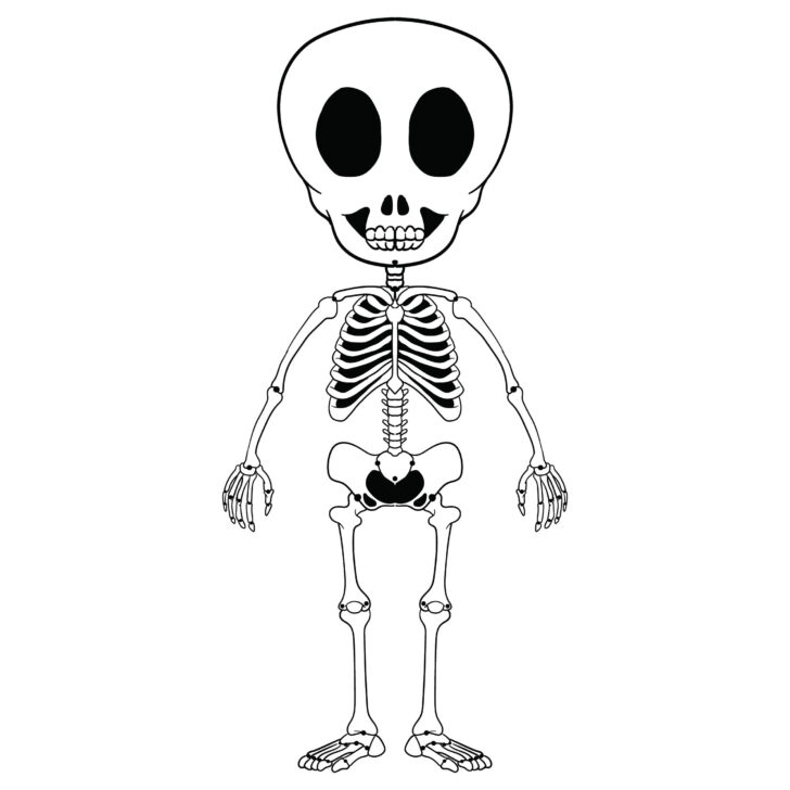 Printable Picture Of Skeleton Bones