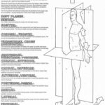 22 Best Anatomy Images On Pinterest Physical Science Health And