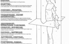 22 Best Anatomy Images On Pinterest Physical Science Health And