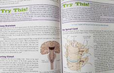 26 Apologia Anatomy Lesson Plans