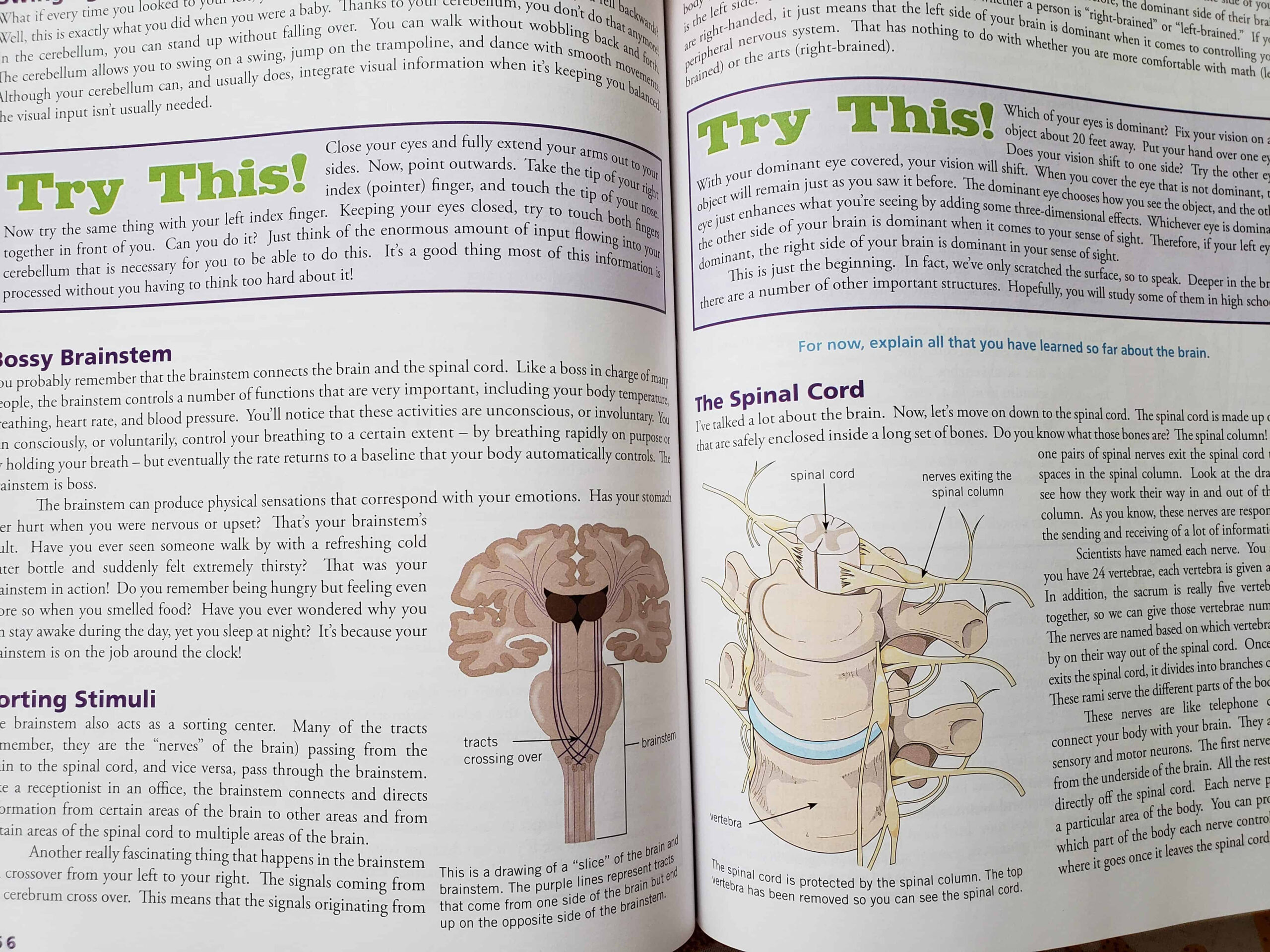 Apologia Anatomy Lesson Plans Printable Anatomy Worksheets