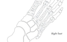 26 Best Pinky s Printables Images On Pinterest Literacy Amy Poehler