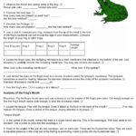 26 Frog Dissection Worksheet Answer Worksheet Information