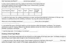 26 Frog Dissection Worksheet Answer Worksheet Information