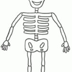28 Best Cute Skeleton Crafts For Kids Images On Pinterest Skeleton
