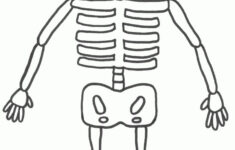 28 Best Cute Skeleton Crafts For Kids Images On Pinterest Skeleton