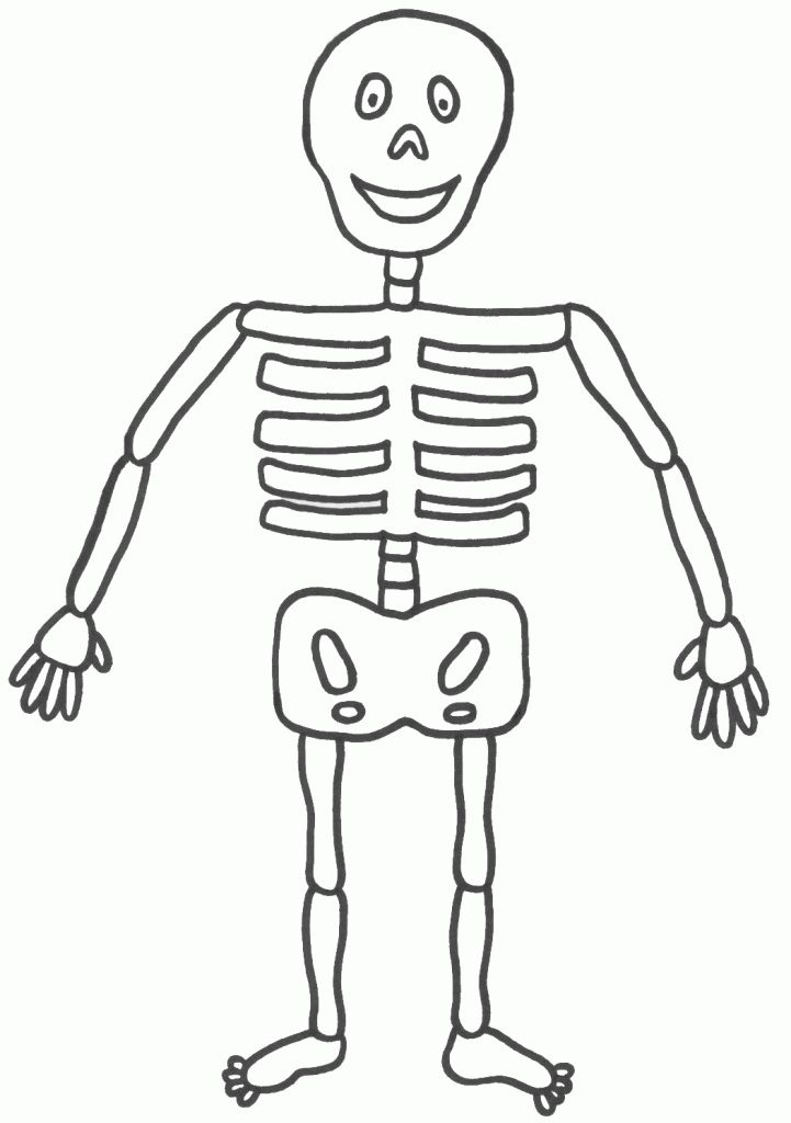 28 Best Cute Skeleton Crafts For Kids Images On Pinterest Skeleton 