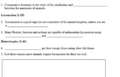 30 Anatomy Of The Constitution Worksheet Education Template