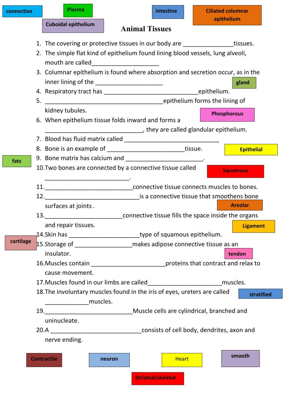 30 Types Of Tissues Worksheet Worksheet Information