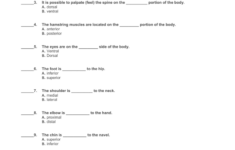 31 Directional Terms Worksheet Anatomy Physiology Answers Worksheet
