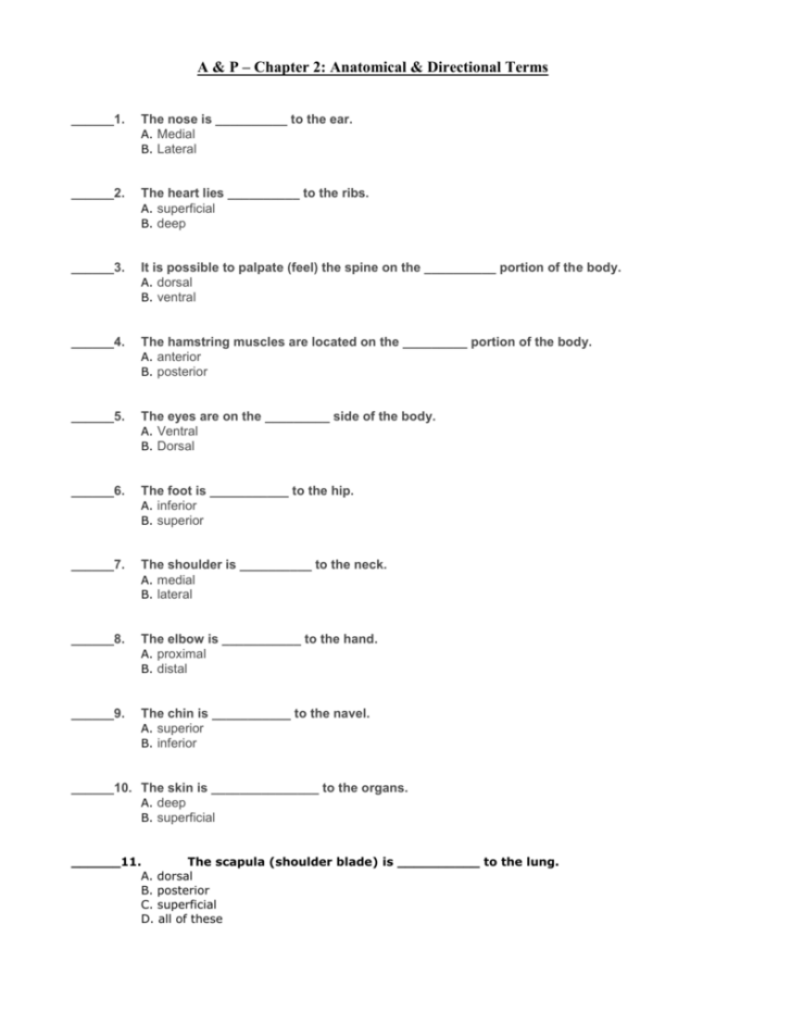 Directional Terms Anatomy Worksheet Answers
