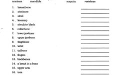 31 Directional Terms Worksheet Anatomy Physiology Answers Worksheet
