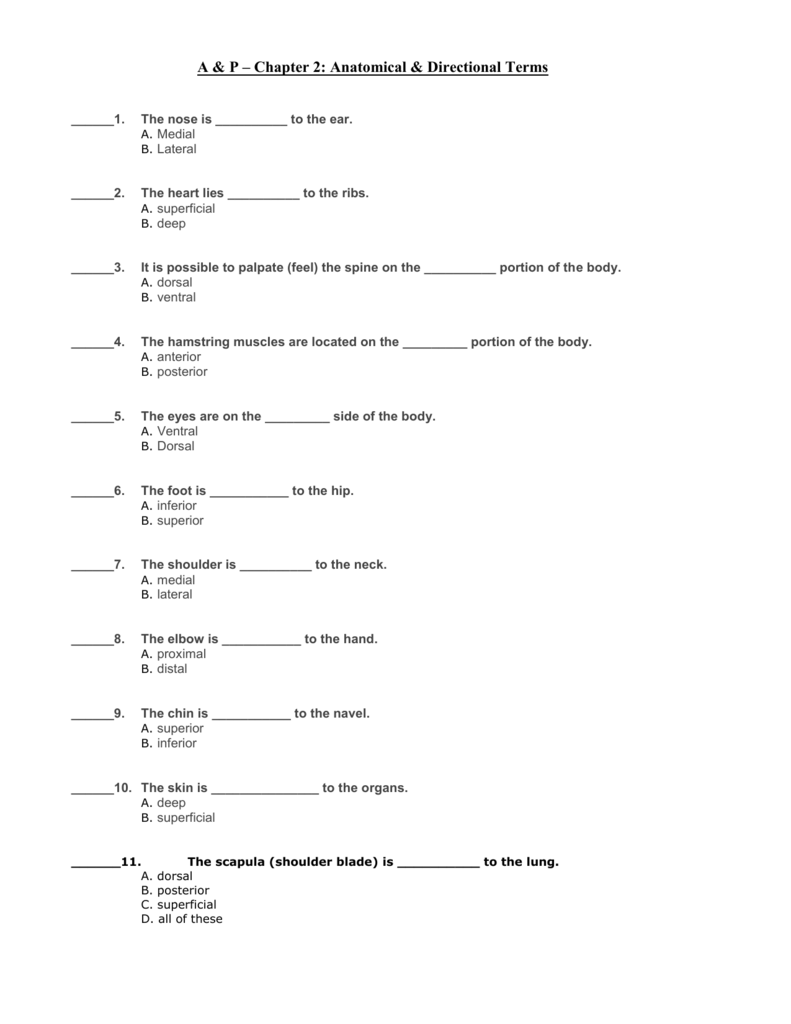 31 Directional Terms Worksheet Anatomy Physiology Answers Worksheet 