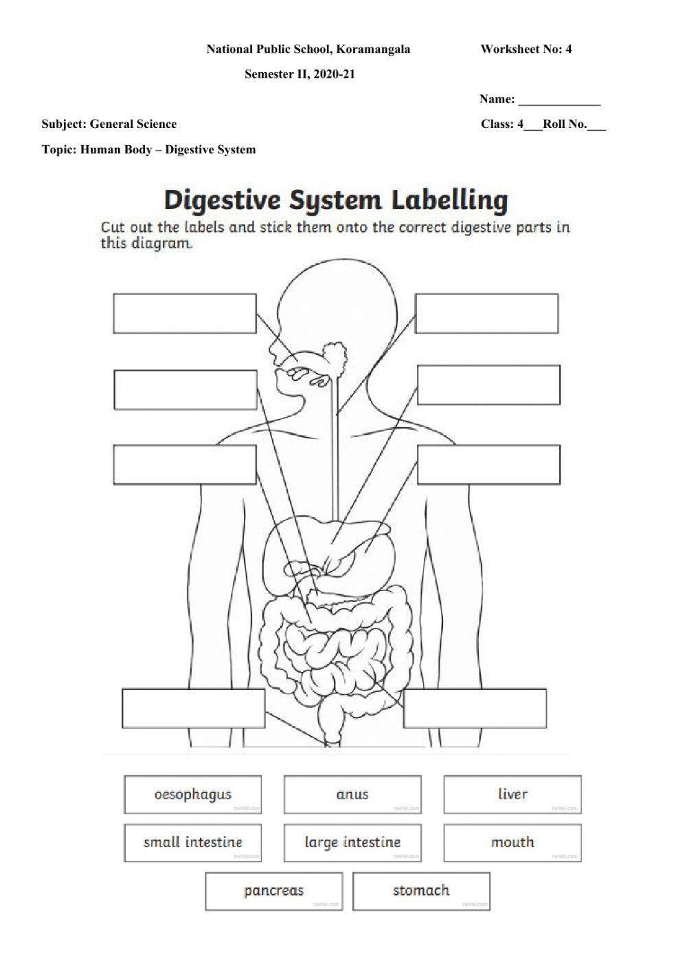 33 Label The Digestive System Worksheet Answers Labels 2021