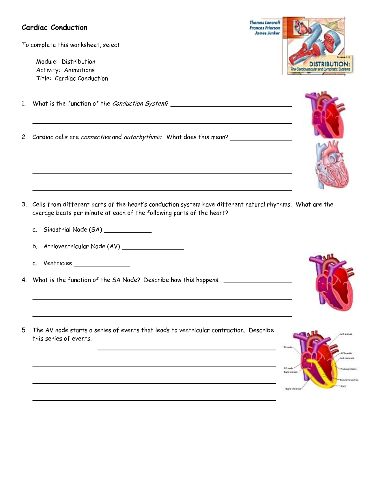 34 Medical Anatomy And Physiology Review Worksheet Worksheet Database 