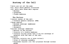 35 Chapter 3 Cells And Tissues Worksheet Free Worksheet Spreadsheet