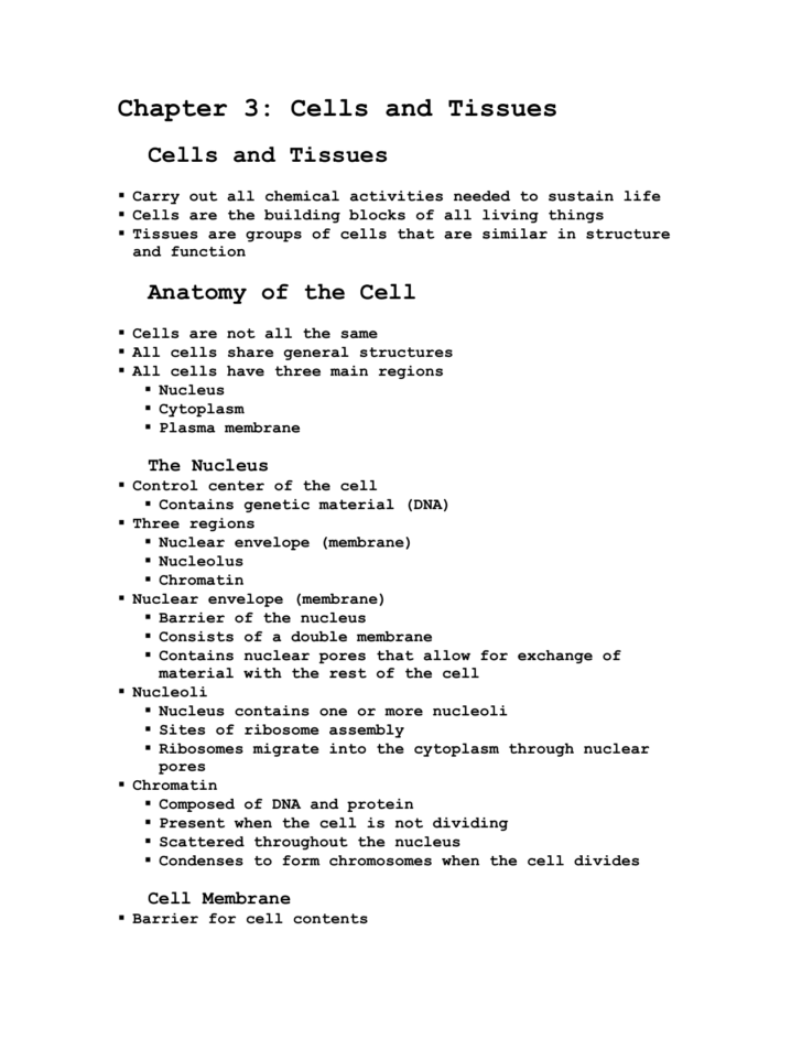Anatomy And Physiology Chapter 3 Cells Worksheet Answers