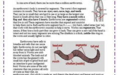 4 Page Worksheet On Earthworms With Answer Key Science Worksheets