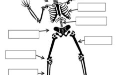 4th Grade Science Worksheets Best Coloring Pages For Kids Science