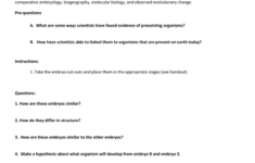 5 Nancy Embryology Student Answer Sheet