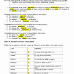 50 Anatomical Terms Worksheet Answers In 2020 Anatomical Anatomy And