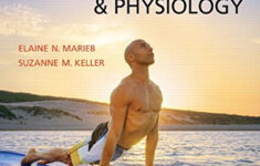 9780134394190 Essentials Of Human Anatomy Physiology Plus Mastering