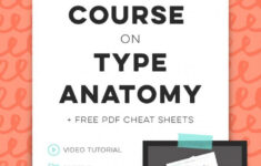 A Colorful Crash Course In Type Anatomy Every Tuesday Type Anatomy