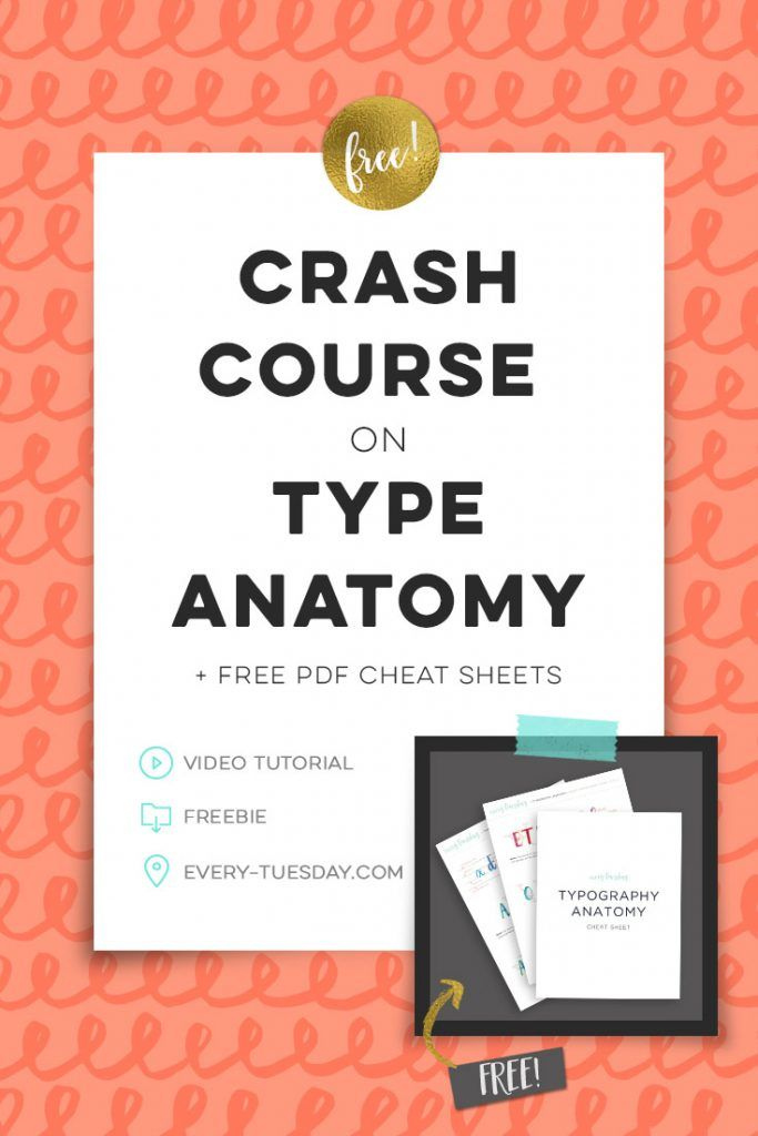 A Colorful Crash Course In Type Anatomy Every Tuesday Type Anatomy 