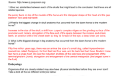 Activity Evidence Of Evolution Worksheet Answer Key TUTORE ORG