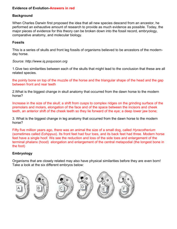 Comparing Anatomy And Embryology Worksheet Answers