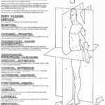 Anatomical Body Planes And Directional Terms Body Systems Worksheets