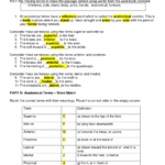 Anatomical Body Planes And Directional Terms Worksheet 1 Google