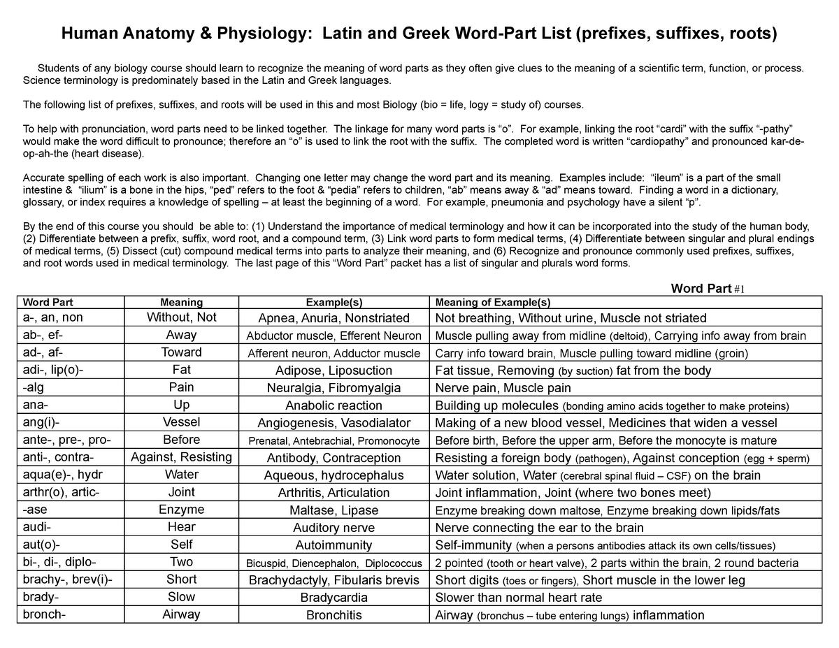 Anatomical Prefixes And Suffixes IMED1001 UWA StuDocu
