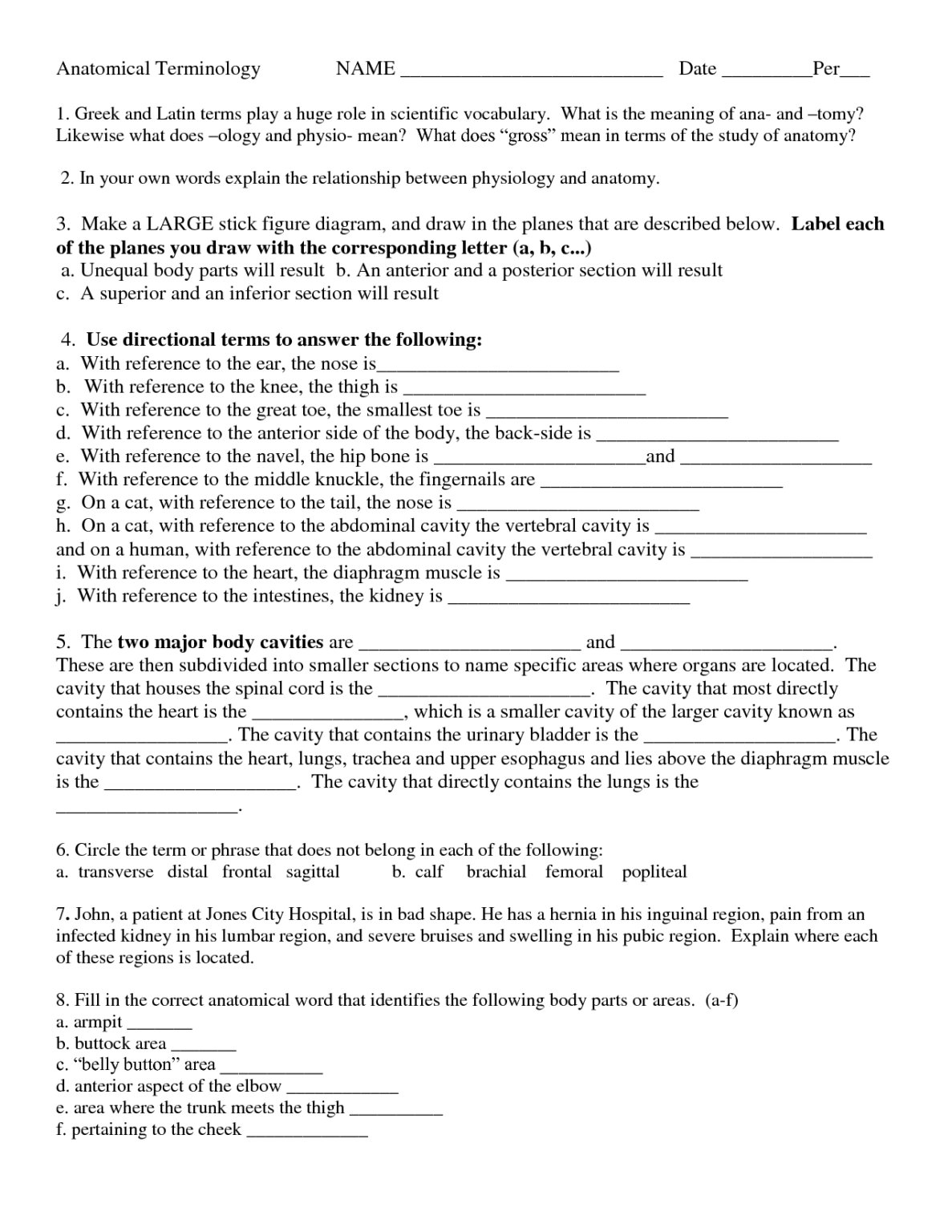 Anatomical Terminology Worksheet 1 Answer Key Anatomy Worksheets