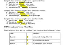 Anatomical Terms Worksheet Answers 31 Directional Terms Worksheet