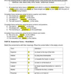 Anatomical Terms Worksheet Answers 31 Directional Terms Worksheet