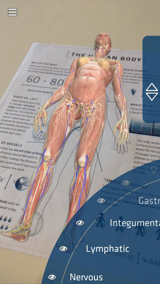 Anatomy 4D 4 Boyutlu nsan Anatomisi OLKANDO Bilgi Teknolojileri 