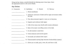 Anatomy And Physiology 1 Worksheet For Tissue Types