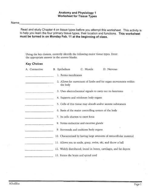 anatomy and physiology worksheet for tissue types