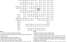 Anatomy And Physiology Chapter 1 Vocab Crossword WordMint