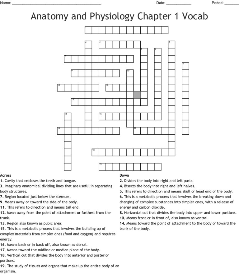 Anatomy And Physiology Chapter Vocab Crossword Wordmint Anatomy Worksheets