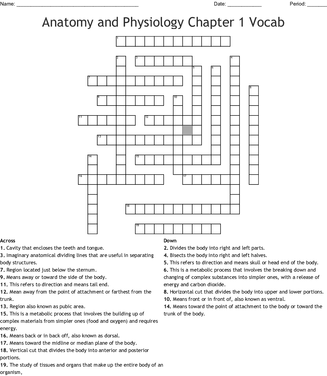 anatomy-and-physiology-crossword-puzzle-printable-anatomy-worksheets