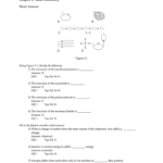 Anatomy And Physiology Chapter 2 Basic Chemistry Answers