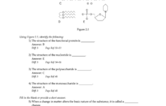 Anatomy And Physiology Chapter 2 Basic Chemistry Answers