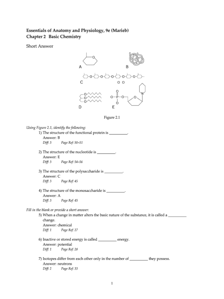 Anatomy And Physiology Chapter 2 Basic Chemistry Worksheet Answers