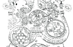 Anatomy And Physiology Coloring Pages Free At GetColorings Free