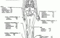 Anatomy And Physiology Coloring Pages Free Coloring Home